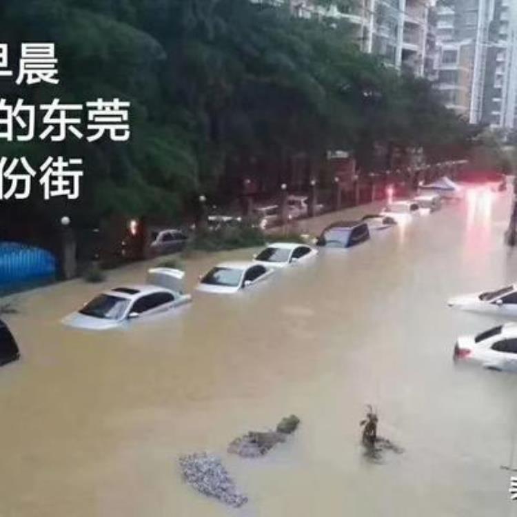 暴雨触电身亡,雷雨天游泳被雷击中