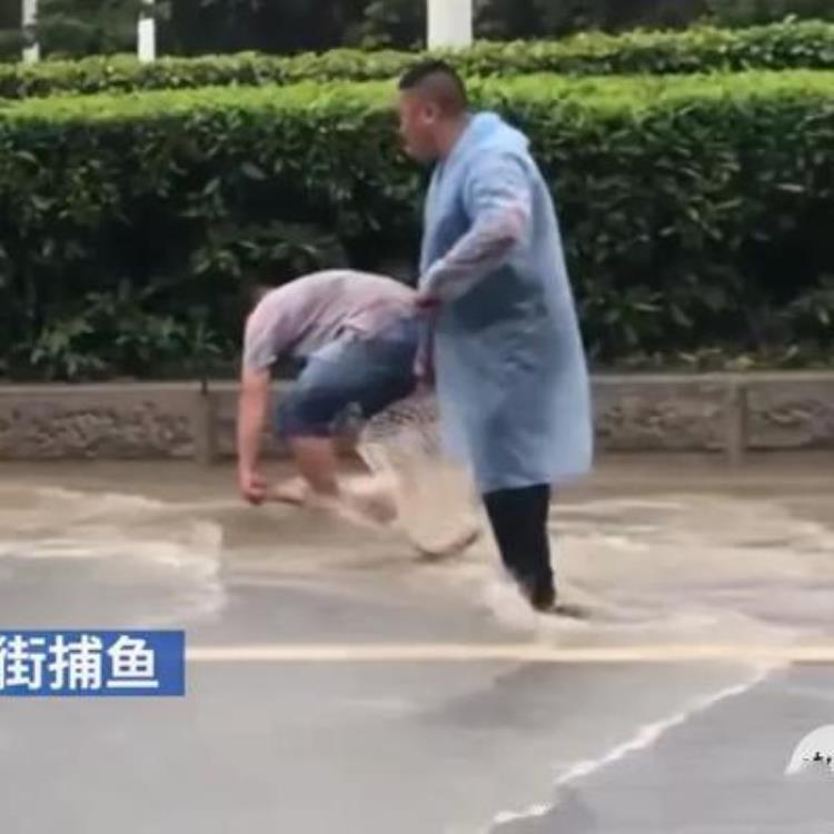 暴雨触电身亡,雷雨天游泳被雷击中