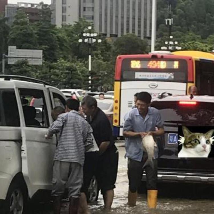 暴雨触电身亡,雷雨天游泳被雷击中