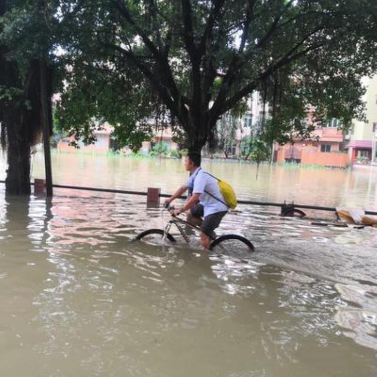 暴雨触电身亡,雷雨天游泳被雷击中