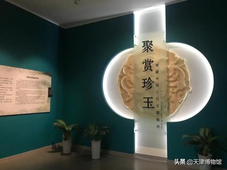 古代死者为什么会将蝉型玉器含在口中呢,为什么古代人死了要陪葬珠宝