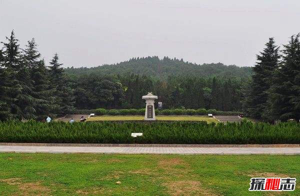 室内十大净化空气植物 芦荟排第九,第四吸收毒素最多