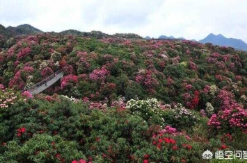 黔西风景区有哪些(黔西县旅游区)