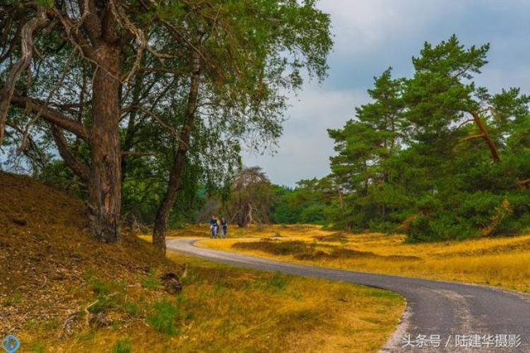 荷兰阿纳姆一座桥与一个城市的旅行攻略有关,荷兰城市旅游攻略