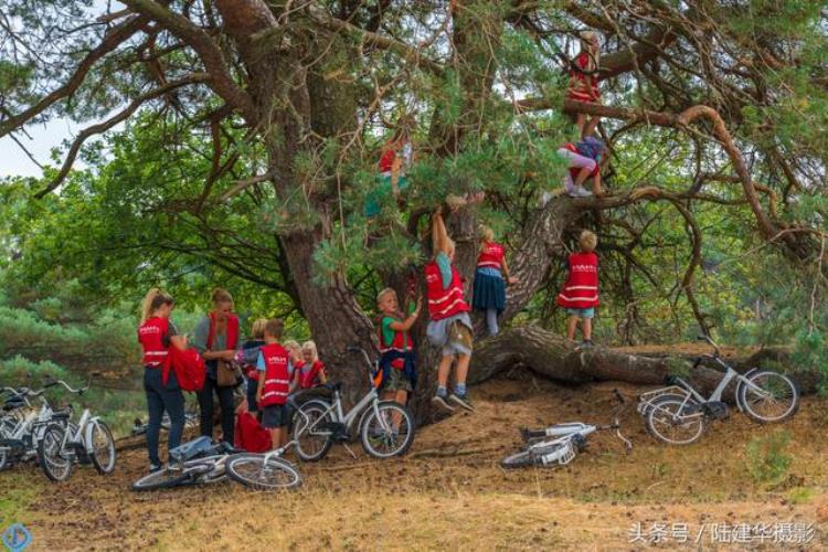 荷兰阿纳姆一座桥与一个城市的旅行攻略有关,荷兰城市旅游攻略