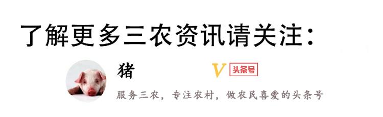 农村丧葬都有什么讲究「农村丧葬习俗讲究多从倒头纸到居丧15种风俗逐一揭秘」