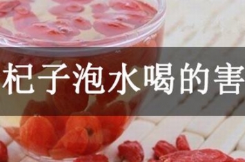 枸杞子泡水喝的害处是什么？