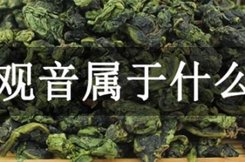 铁观音属于什么茶?一种半发酵茶类，是乌龙茶中的极品