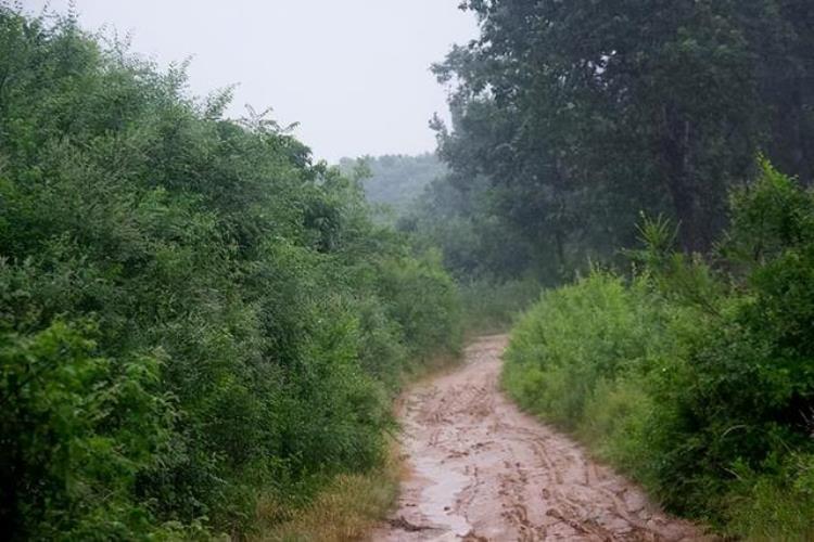 逢雨打灵,后人必贫,民间看坟知后人口诀