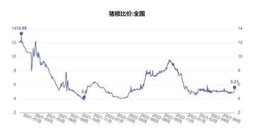 上市猪企中报透视：增收不增利 温氏股份、新希望、牧原股份亏损规模居前