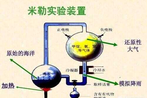 达尔文动植物大全(达尔文分析动植物之间的适应)