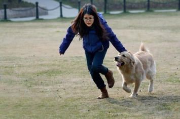 狗的孕期为什么那么短,为何狗临死前都会离家出走