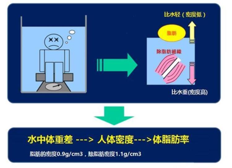 溺水的人男的是趴着,女的是仰着「为什么溺水死亡的人女的仰天面朝上男的扑地面朝下」